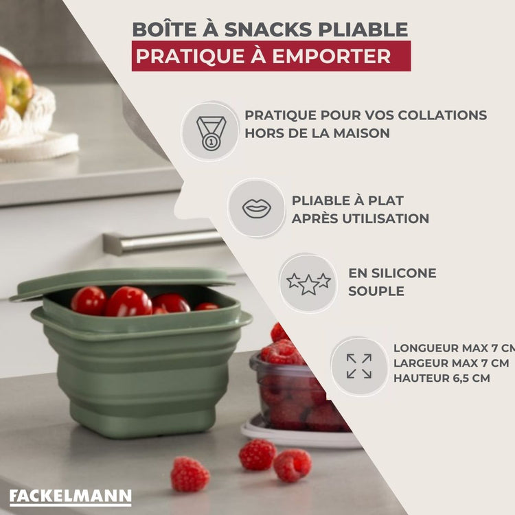 Lot de 2 lunch box 1L avec 2 ustensiles de cuisine Fackelmann Storage