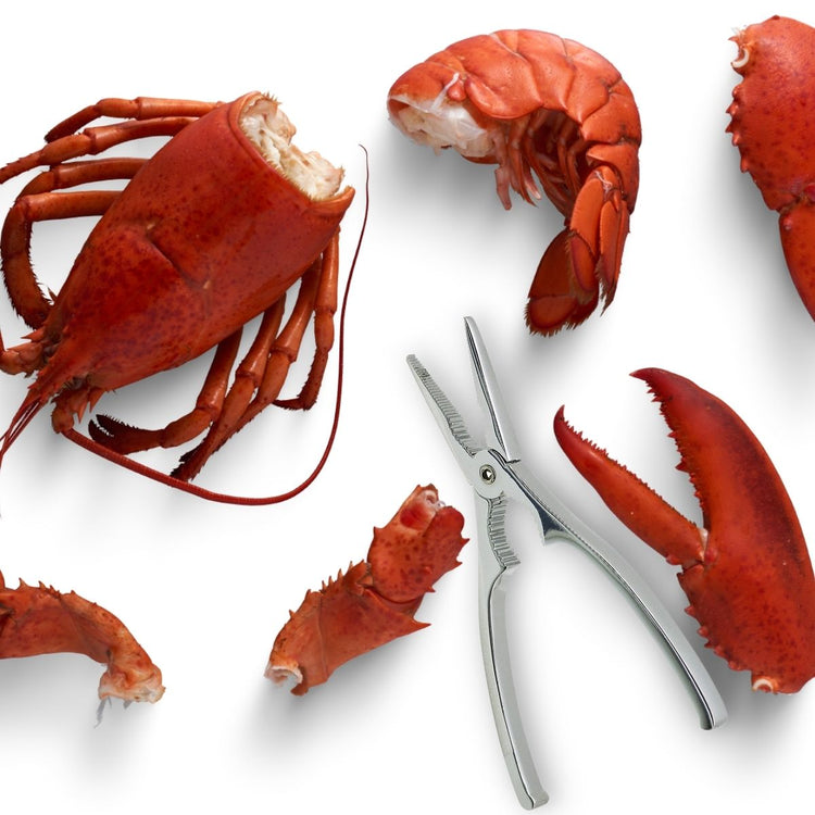 Set de 2 ustensiles de cuisine pinces à crustacés Fackelmann Spécialités Culinaires
