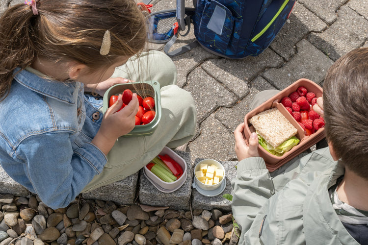 Lunchbox Terracotta à compartiment réglable 1 litre sans BPA Fackelmann Storage
