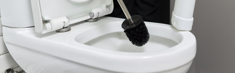 Brosses toilette