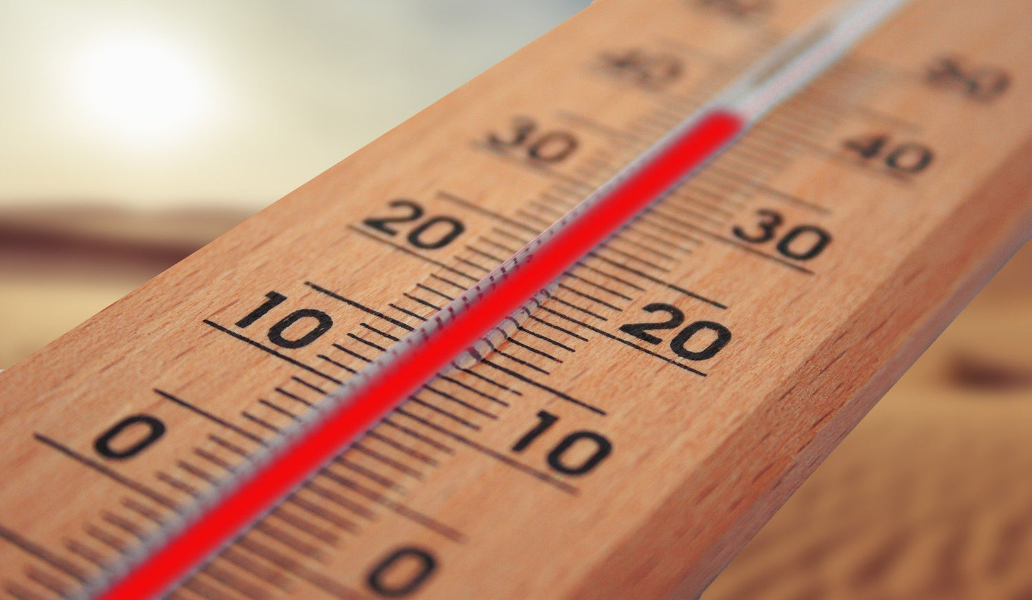 Les thermomètres pour la maison