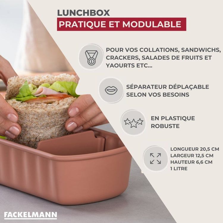 Lot de 4 lunch box 1L avec compartiments Fackelmann Storage