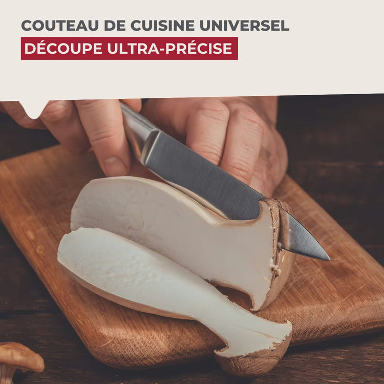 Ensemble de 2 Couteaux de cuisine Santoku lame de 18 cm Nirosta Star