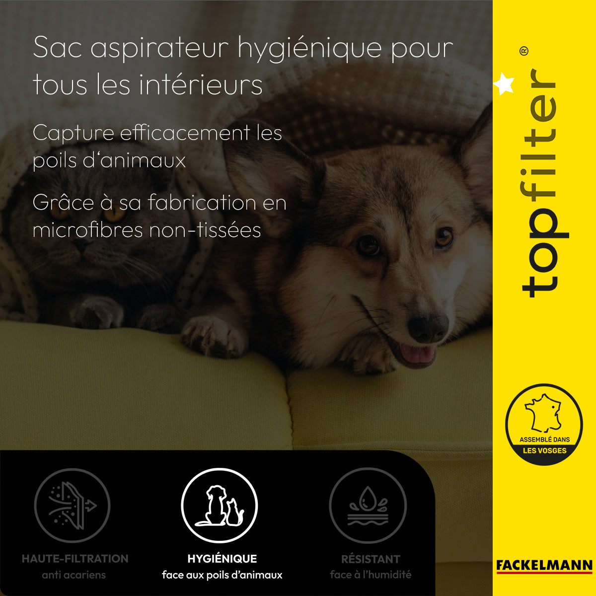 Lot de 4 packs de 4 sacs aspirateur pour Tornado et Electrolux TopFilter Premium