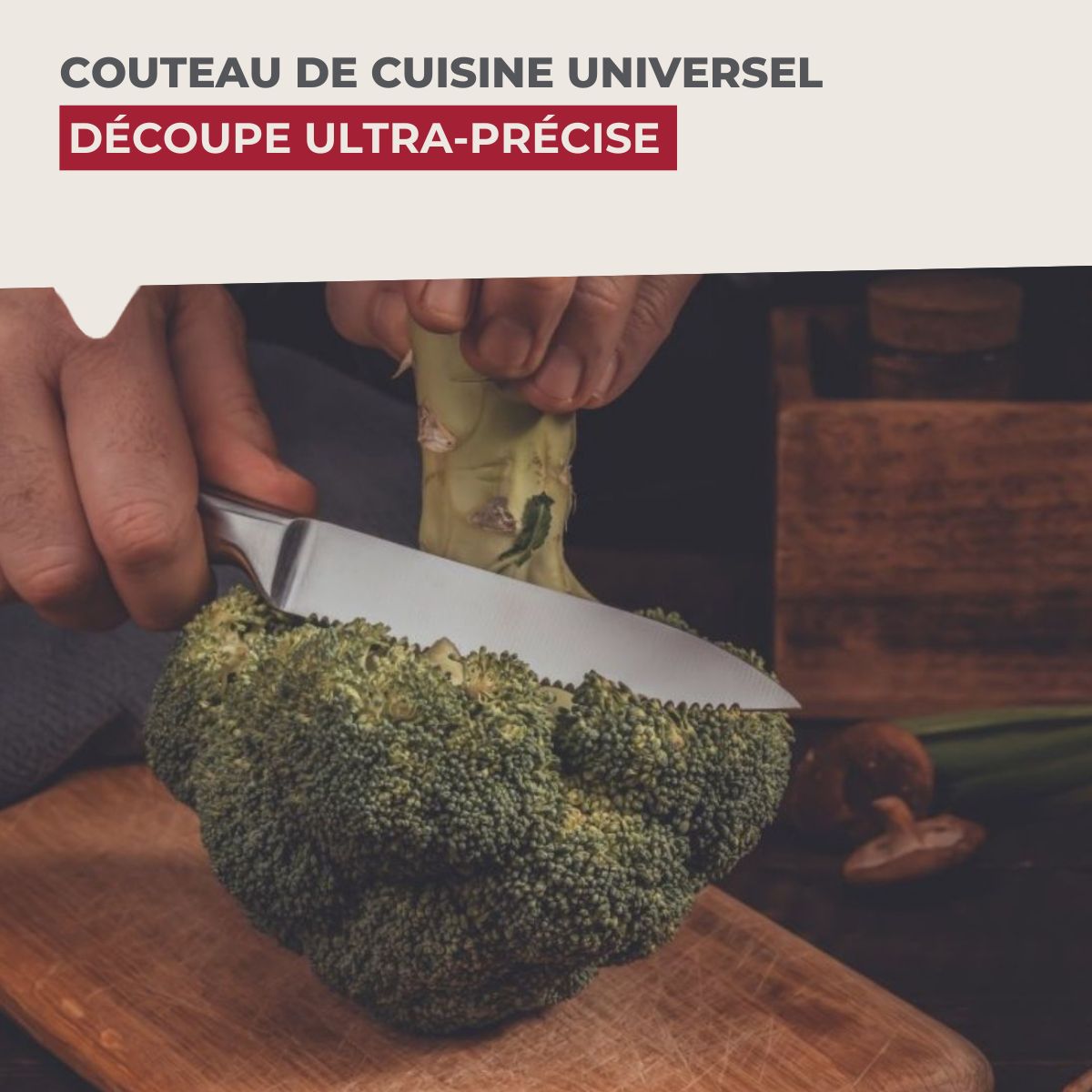 Couteau de cuisine professionnel lame crantée Nirosta Star
