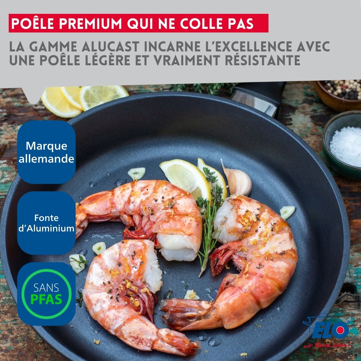 Lot de 2 poêles à frire en aluminium 20 cm et 24 cm Elo Alucast