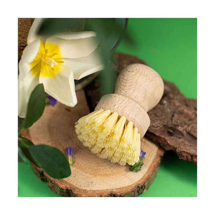 Set de 2 brosses à légumes en bois Fackelmann Nature FSC