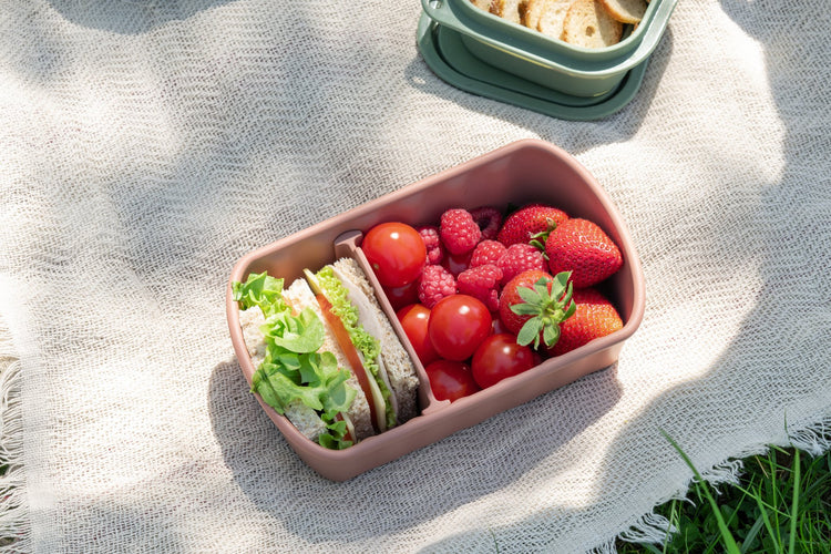 Lunchbox Terracotta à compartiment réglable 1 litre sans BPA Fackelmann Storage