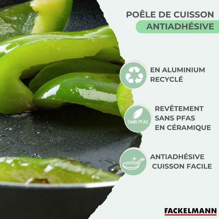 Ensemble de 2 poêles de 20 et 24 cm et 6 ustensiles Fackelmann Brandao