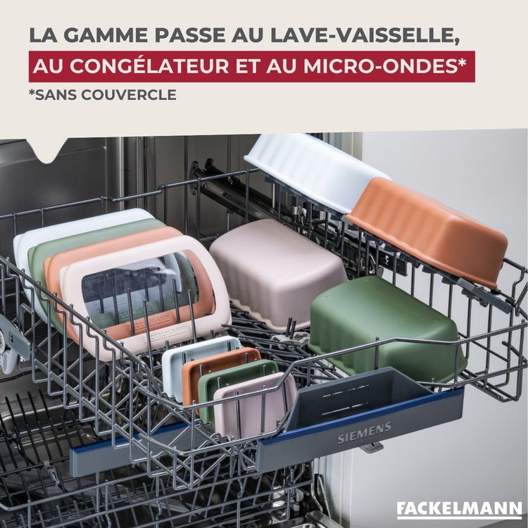Lot de 4 lunch box 1L avec 3 boites à sauce Fackelmann Storage