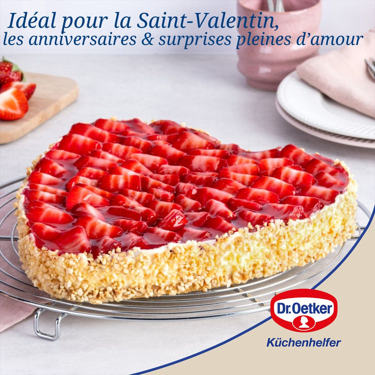 Lot de 2 moules à gâteaux 24/24 cm en acier Dr oetker Tradition
