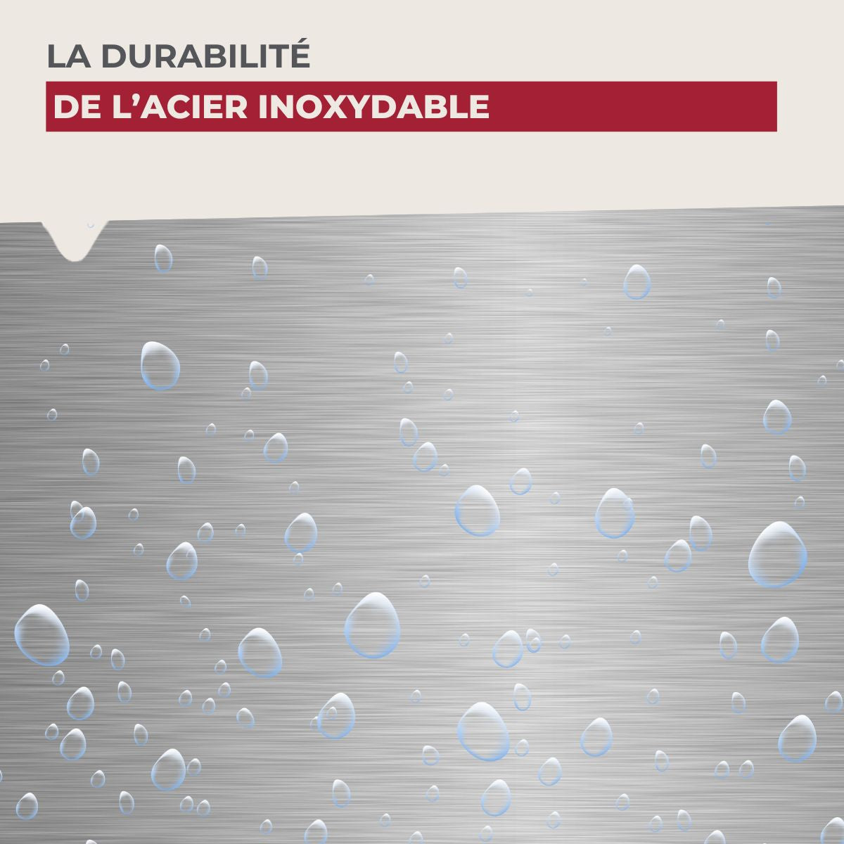 Couteau de cuisine professionnel lame crantée Nirosta Star