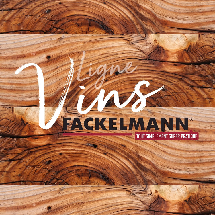 Étui réfrigérant pour bouteilles Fackelmann Bar Concept