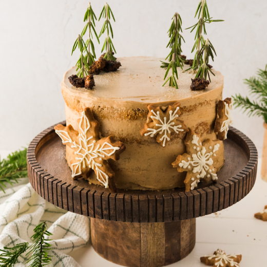 Pr&eacute;sentation des recettes
